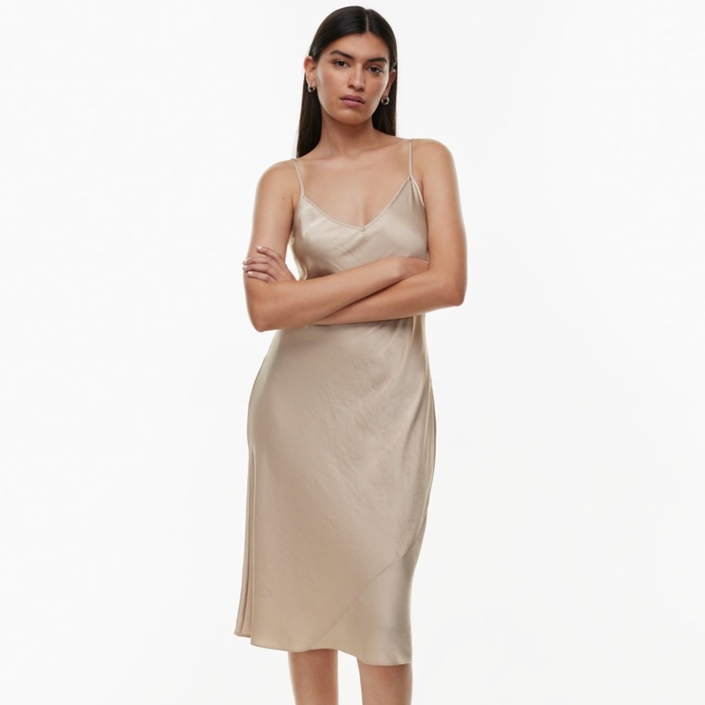 Aritzia Satin Slip Dress in Champagne